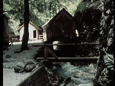 2467521610508743_precudoviti-cvet-je-v-grapi-crni_1.1.15.jpg