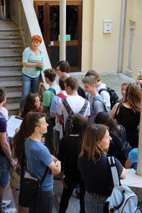 Niso_letele_ptice_-_za___ole__2015.6.2__8_.jpg
