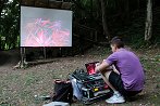 kino v gozdu 2021 1