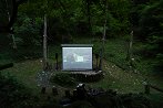 Kino v gozdu 2023 1